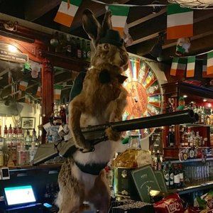 Meet your Posher, Francis